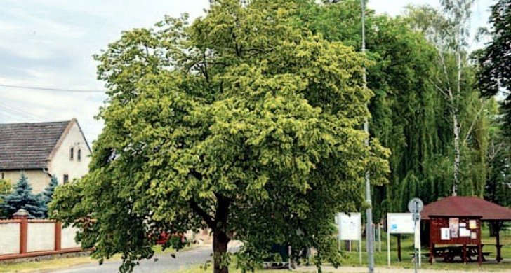 strkovice1.jpg
